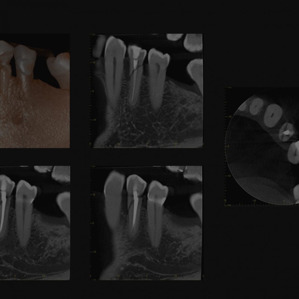DG5115 502 main image 0